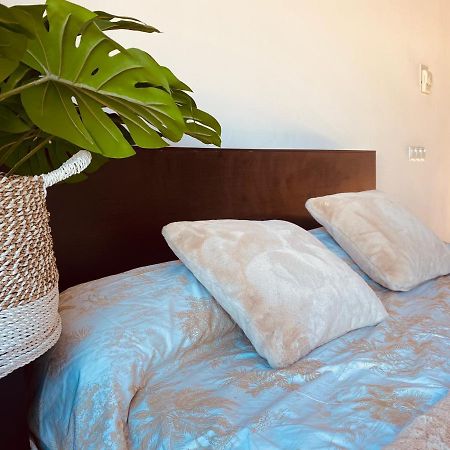 Lovely Triana Flat With Roof Terrace Sevilla Eksteriør bilde